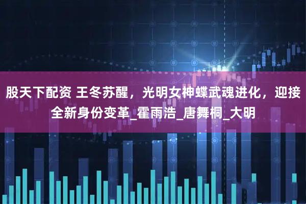 股天下配资 王冬苏醒，光明女神蝶武魂进化，迎接全新身份变革_霍雨浩_唐舞桐_大明