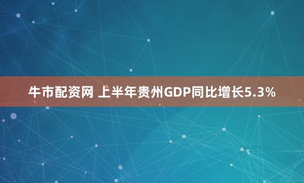 牛市配资网 上半年贵州GDP同比增长5.3%
