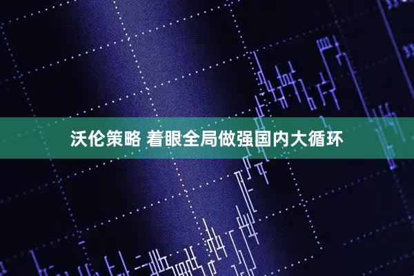 沃伦策略 着眼全局做强国内大循环