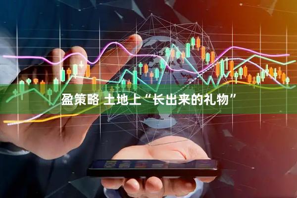 盈策略 土地上“长出来的礼物”