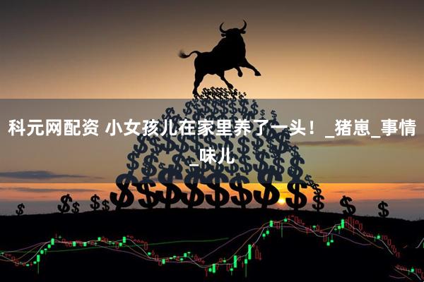 科元网配资 小女孩儿在家里养了一头！_猪崽_事情_味儿