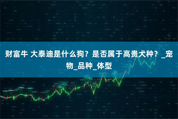 财富牛 大泰迪是什么狗？是否属于高贵犬种？_宠物_品种_体型