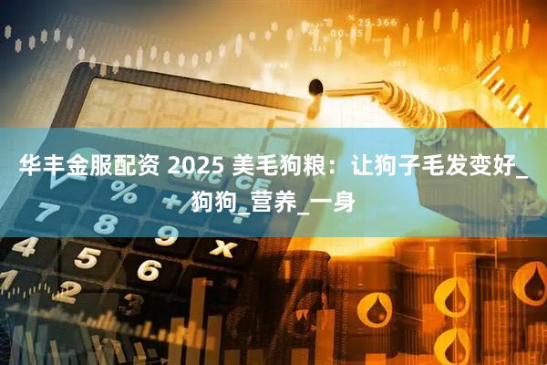 华丰金服配资 2025 美毛狗粮：让狗子毛发变好_狗狗_营养_一身